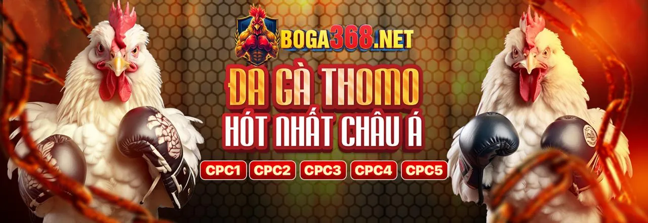 Cá cược có trách nhiệm và chống rửa tiền tại F88